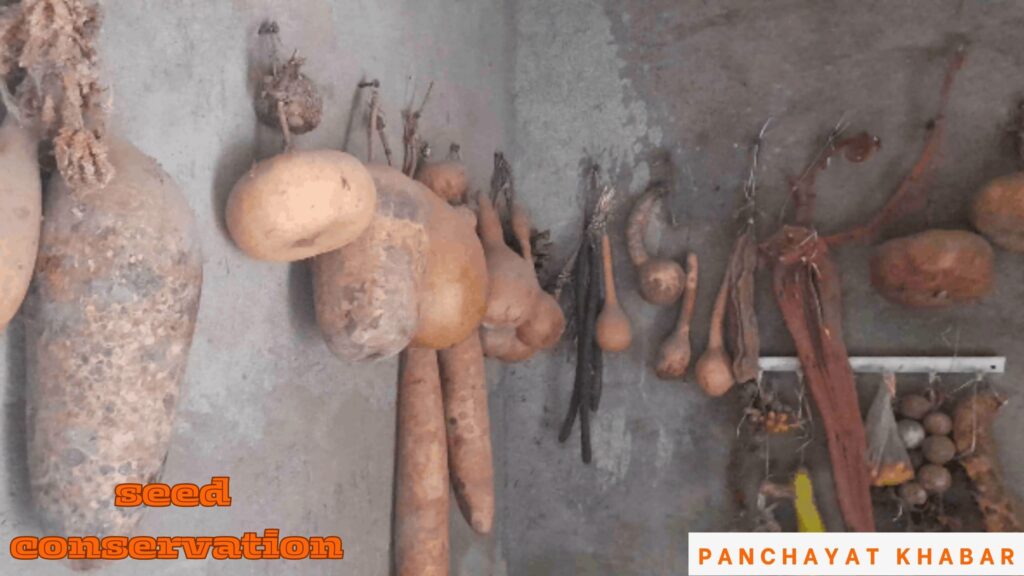 आदिवासी महिलाओं की बीज संरक्षण में महत्वपूर्ण भूमिका